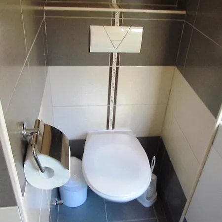 Blue Tree * Сплит