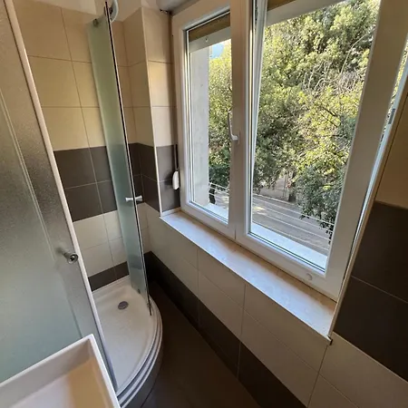 Blue Tree * Сплит