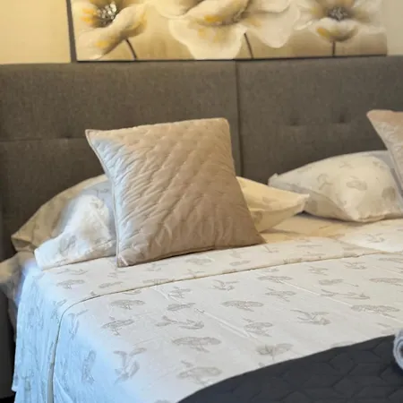 蓝树客房酒店 * 斯普利特