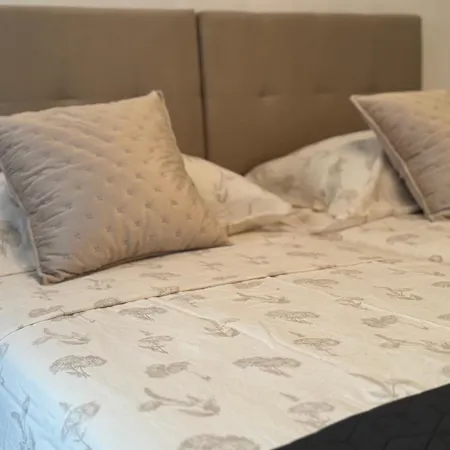 蓝树客房酒店 公寓 斯普利特