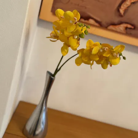 蓝树客房酒店 公寓 *