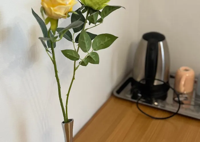 Apartment Blue Tree Split