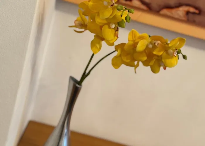 Blue Tree Appartamento *